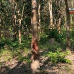 两名儿童被残杀!群众群情激愤,强烈要求严惩严手-博彩新闻-博彩策略-博彩论坛